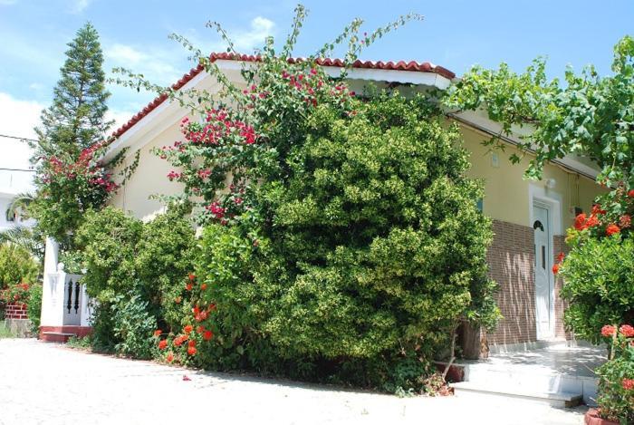 Manao Summer House Tsilivi  Exterior foto