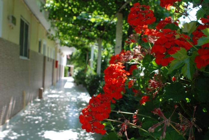Manao Summer House Tsilivi  Exterior foto